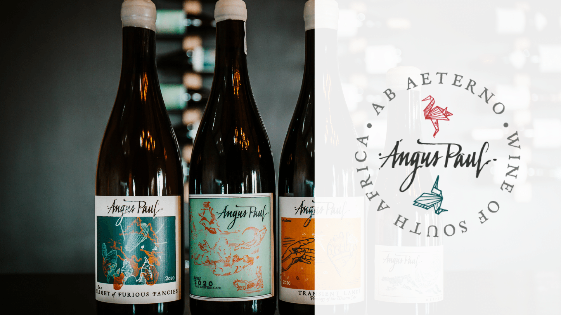 Angus Paul 1920 x 1080 (169) Shopify Collection