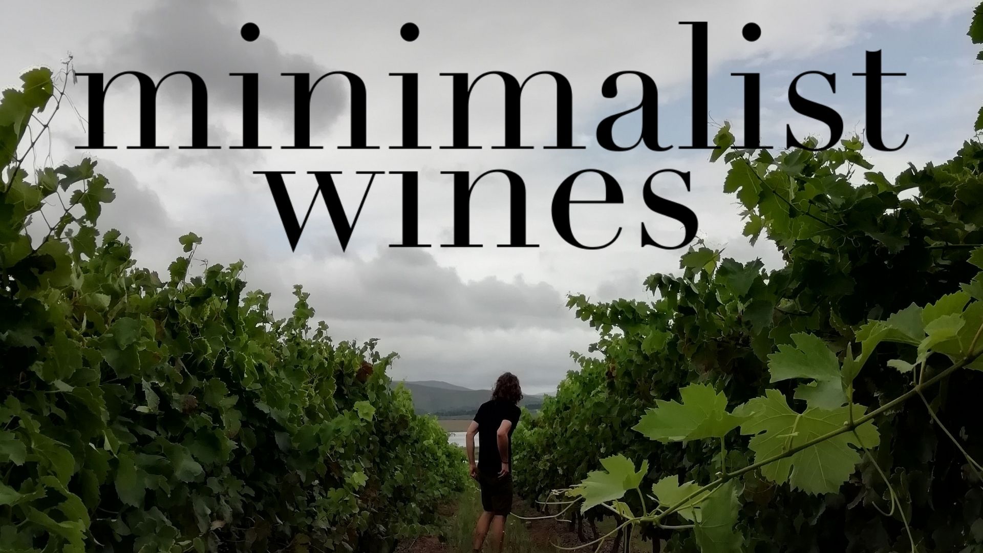Minimalist WInes 1920 x 1080 (169) Shopify Collection